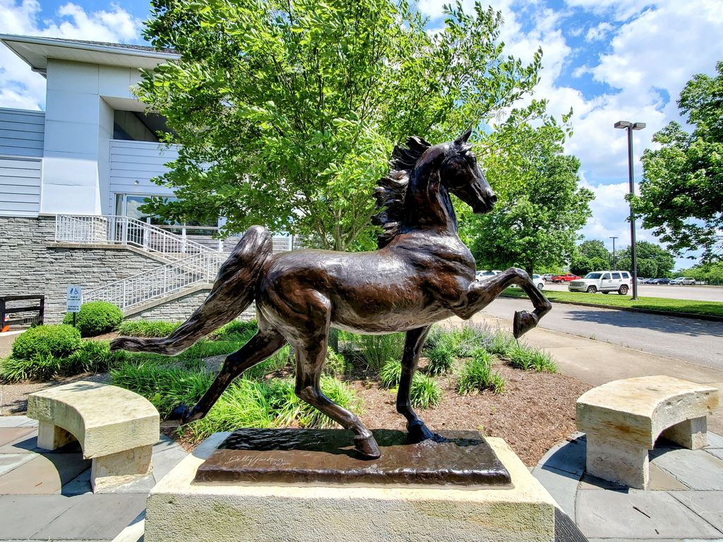 American-Saddlebred-Museum-2