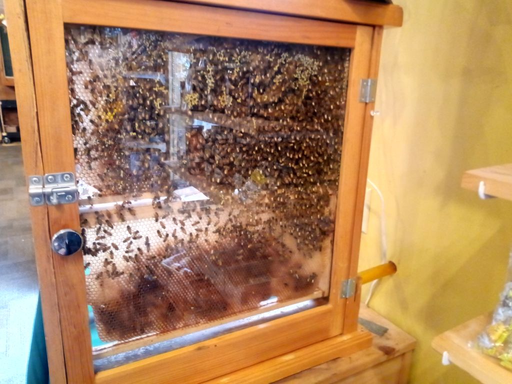 Beekeeping-Exhibit-3