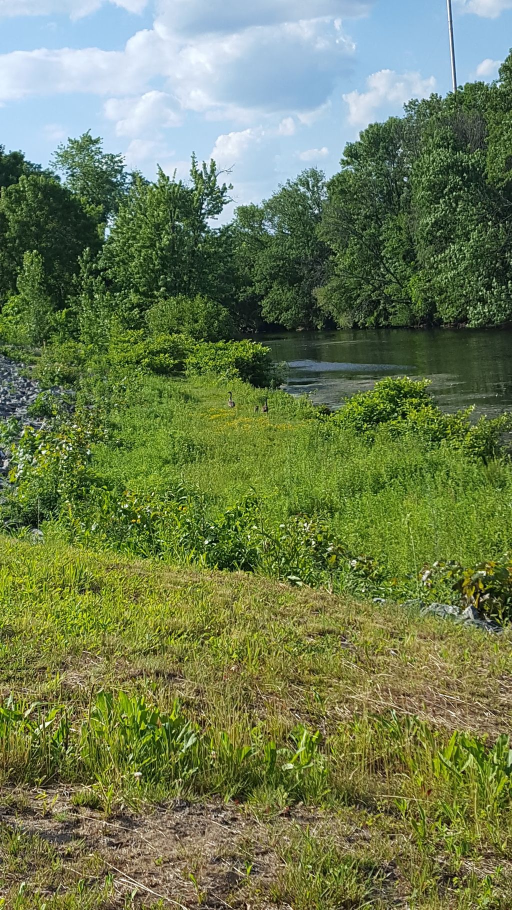 Blackstone River Conservation Area