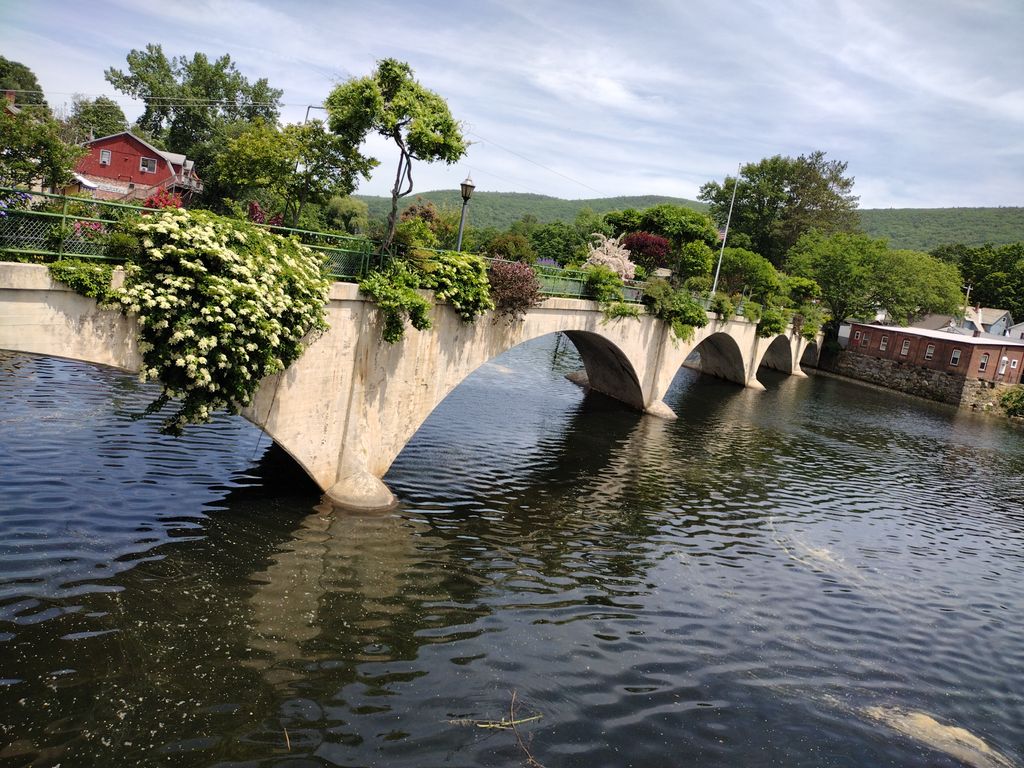 Bridge of Flowers