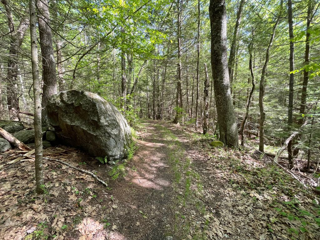 Brooks Woodland Preserve