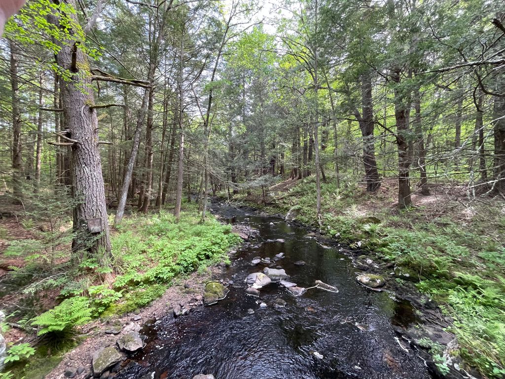 Brooks Woodland Preserve