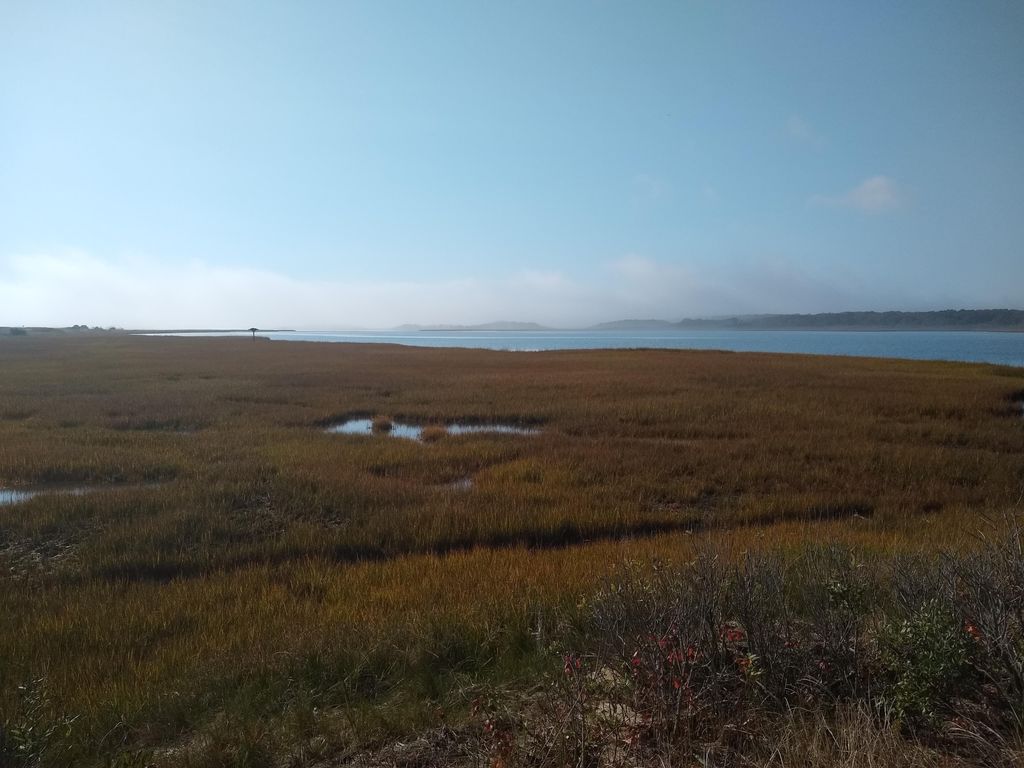 Cape Poge Wildlife Refuge