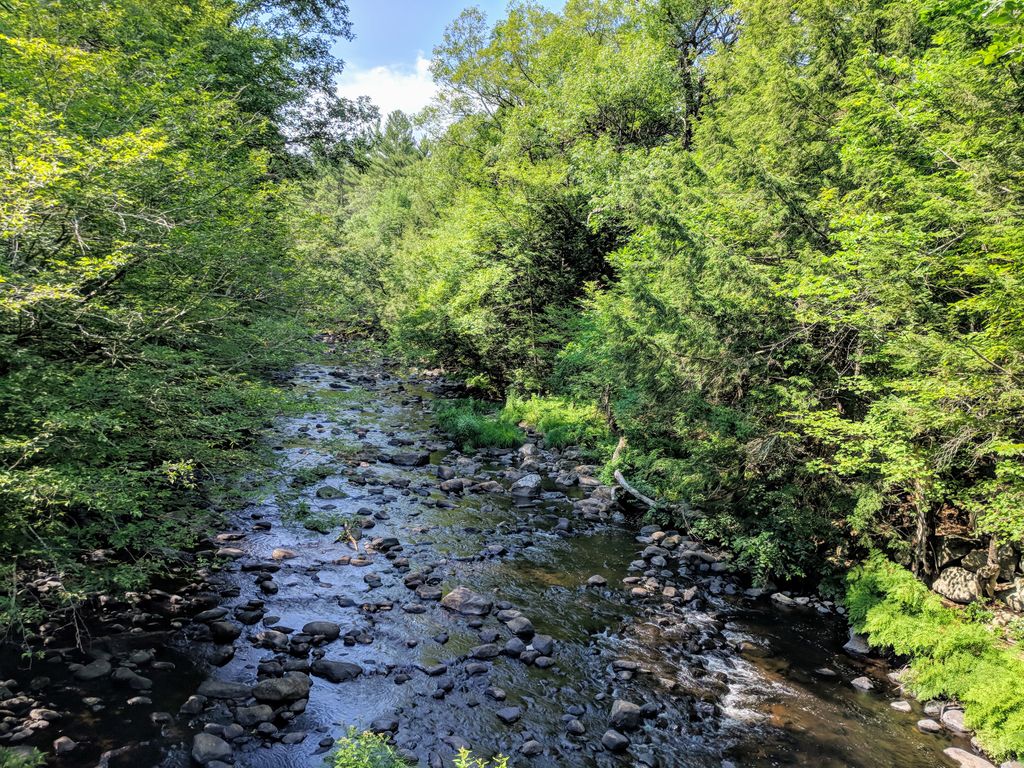 Charlotte Mill Historic Site