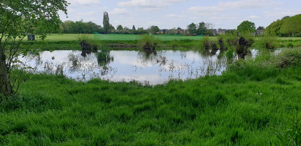 Chelmer-Pond