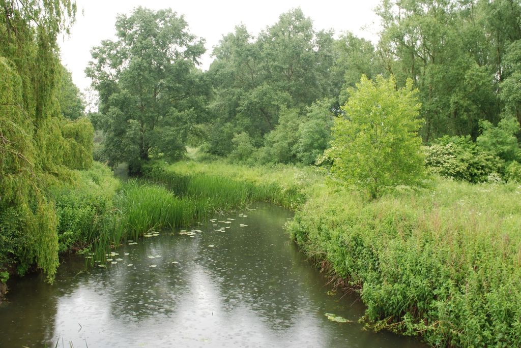 Chelmer-Valley-Local-Nature-Reserve