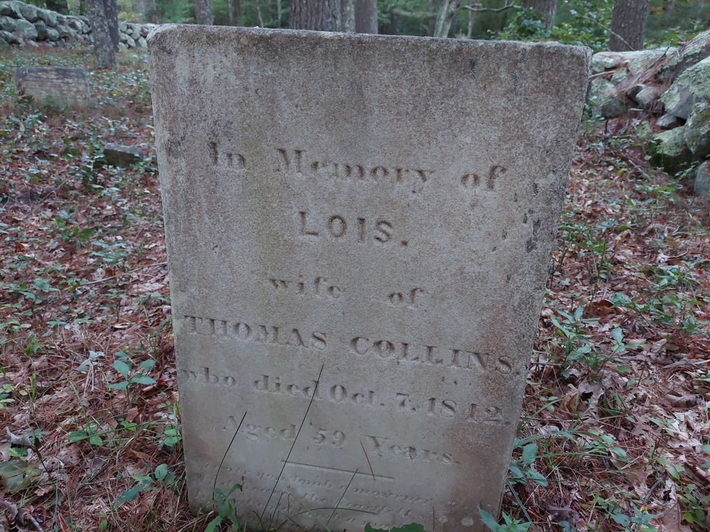 Collins Family Cemetery