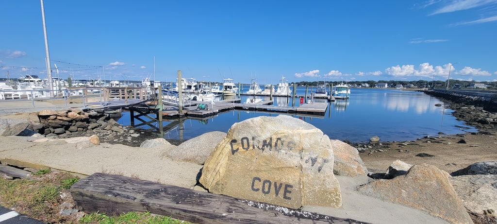 Cormorant Cove