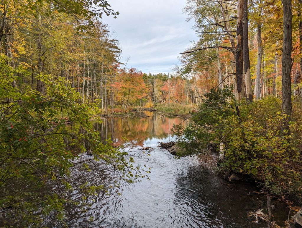 Cowdrey-Nature-Center-1