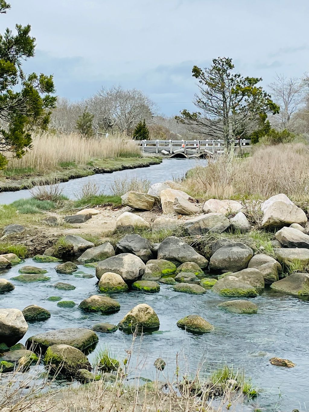 Demarest Lloyd State Park