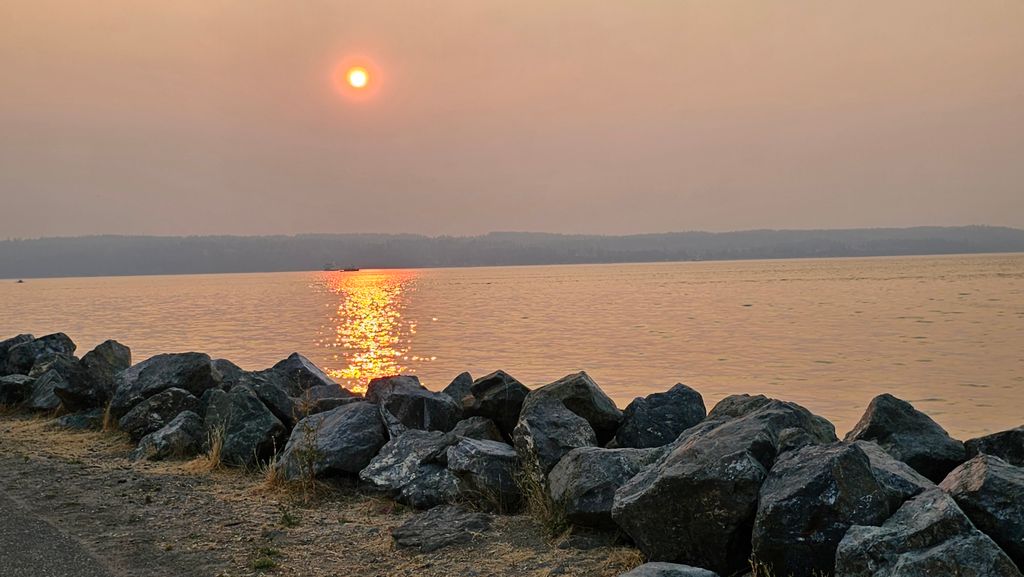 Edgewater-Beach-Park