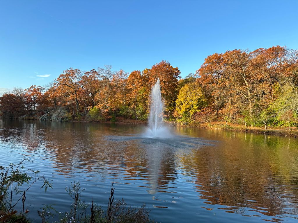 Fellsmere Park