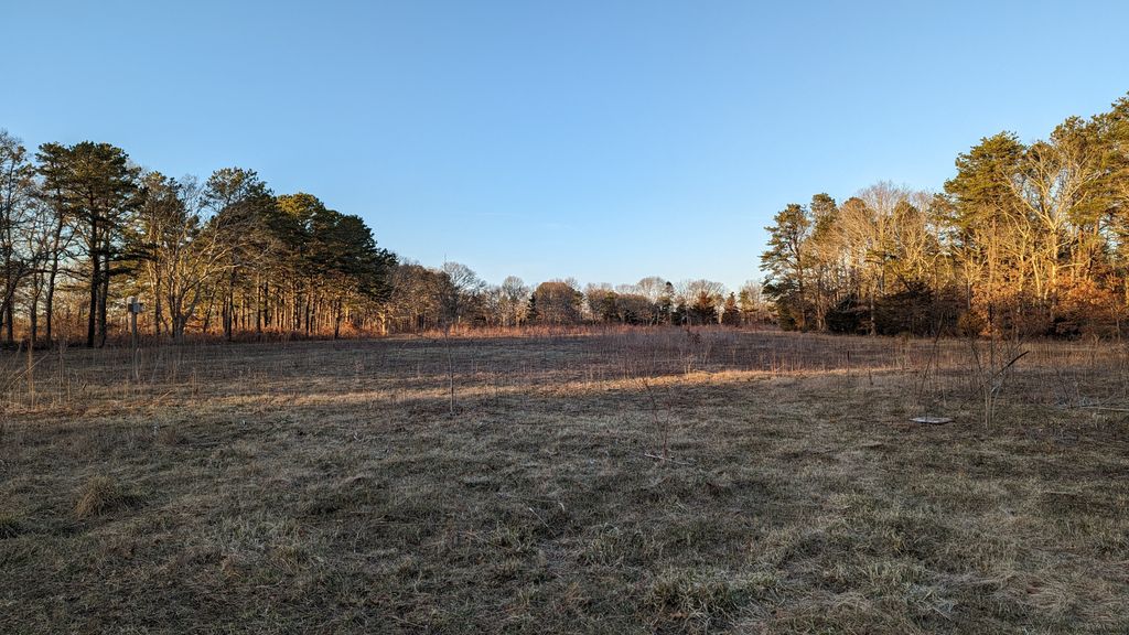 Frances A. Crane Wildlife Management Area