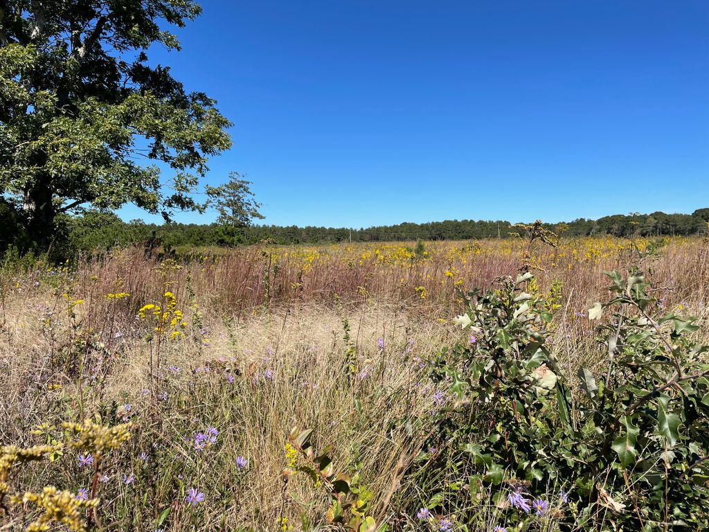 Frances A. Crane Wildlife Management Area