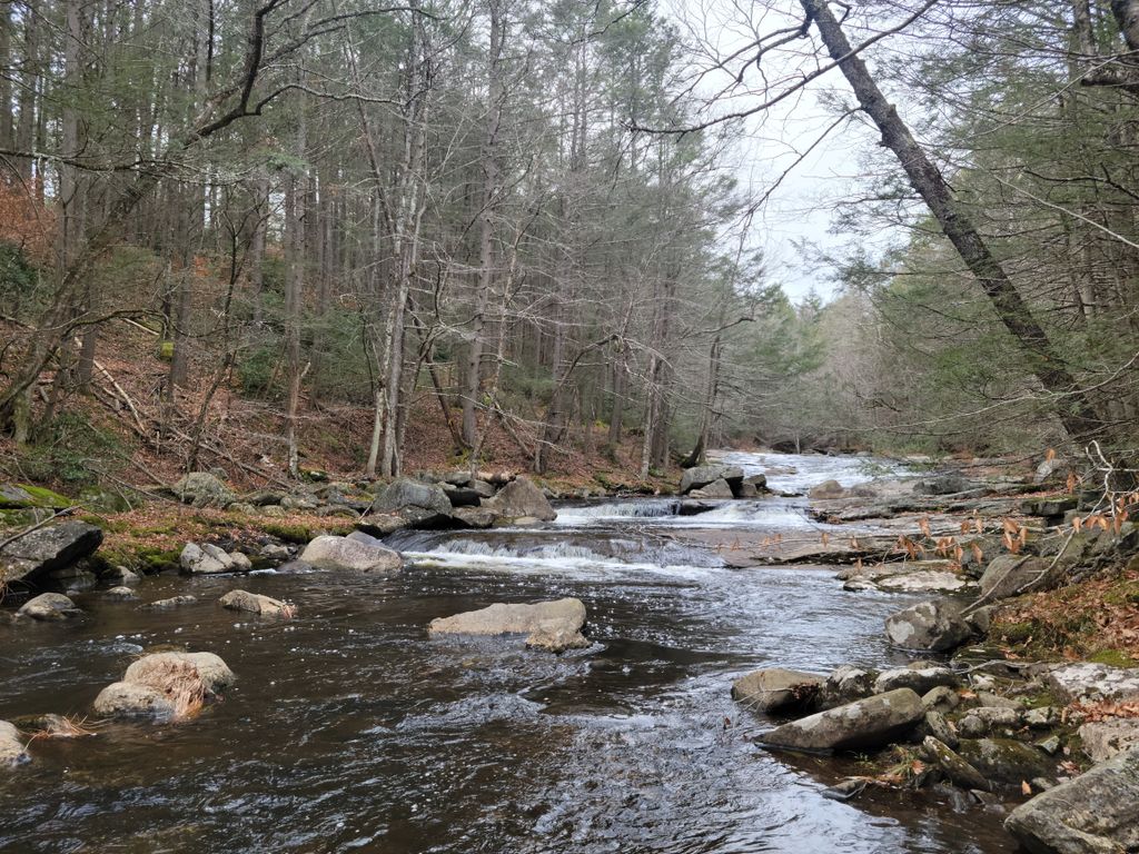 Granville State Forest