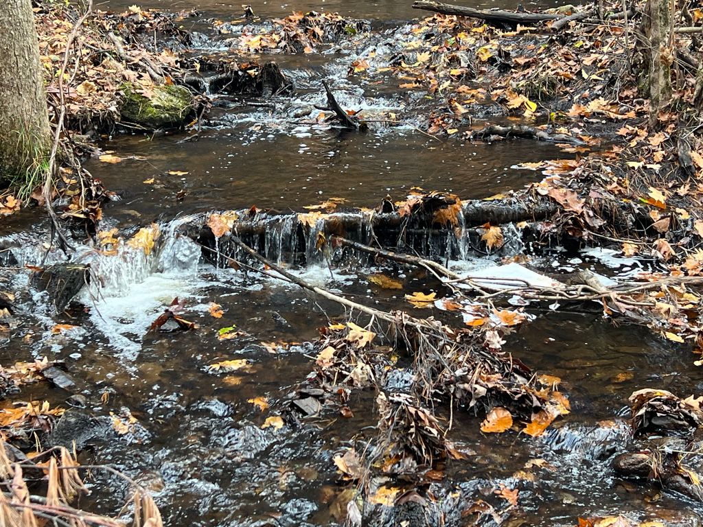 Grist-Mill-Historic-Site-1