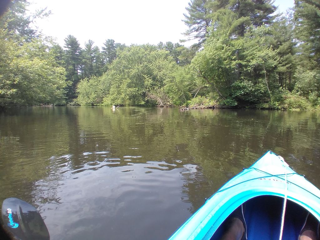 Groton Town Forest