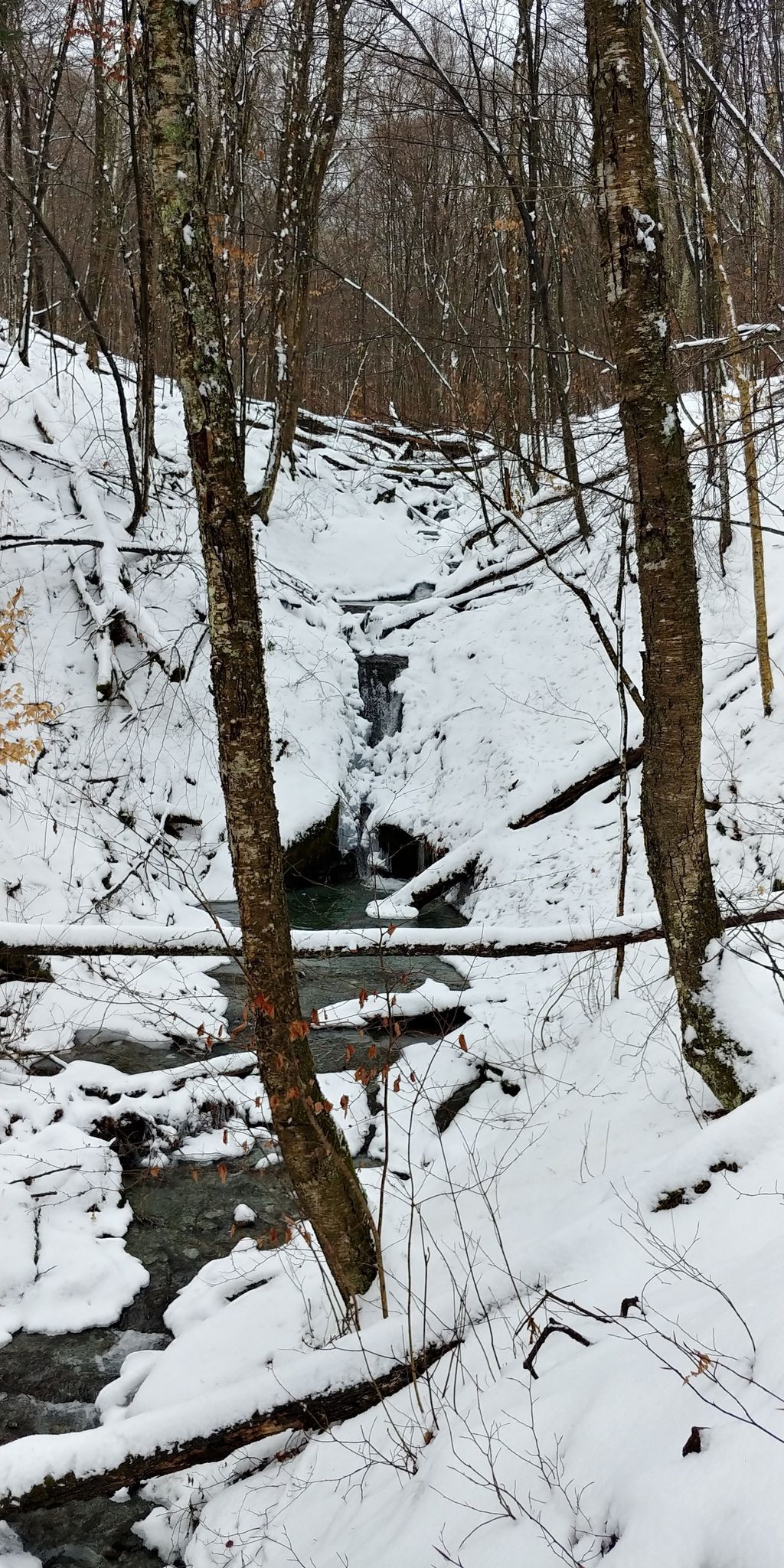 Haley Brook Falls