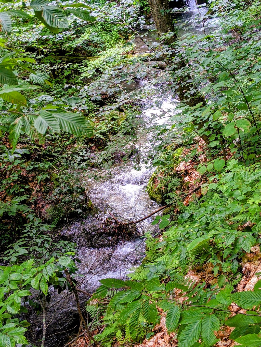 Haley Brook Falls