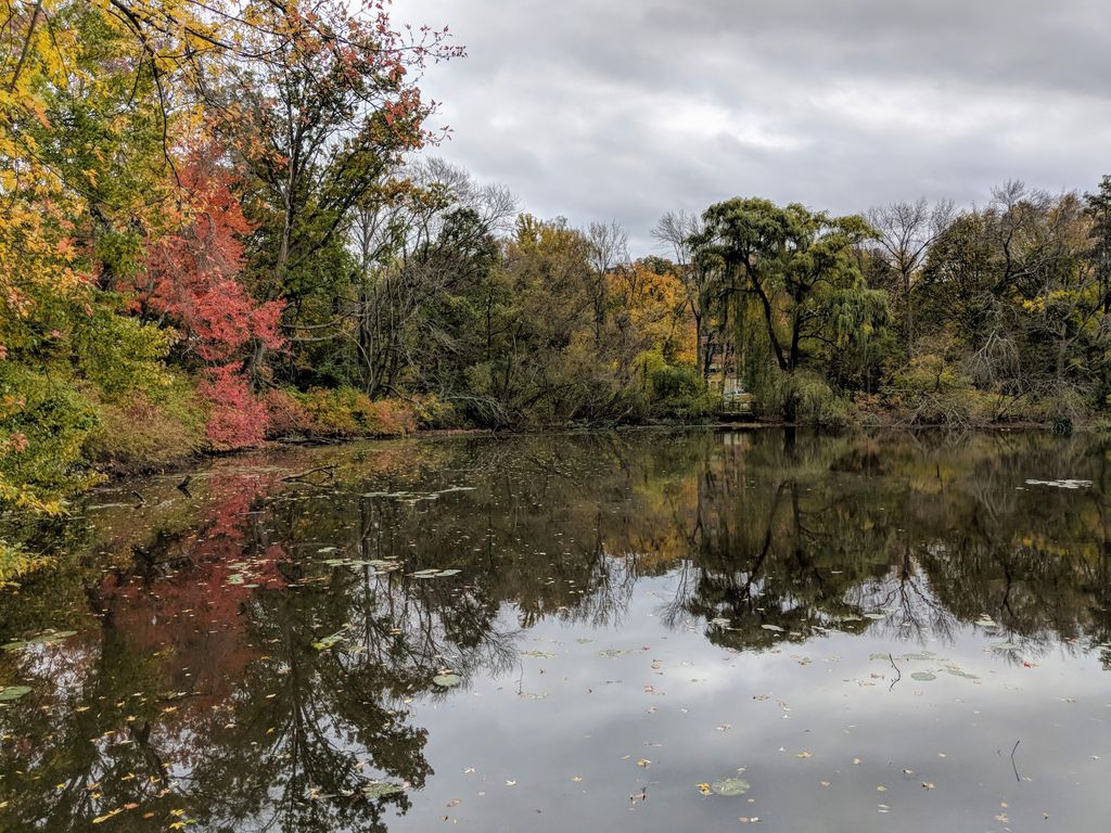 Hall's Pond Sanctuary