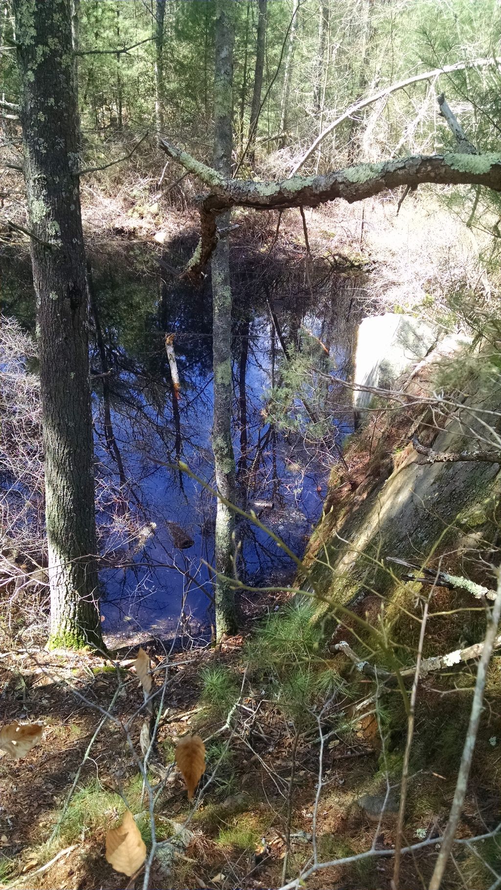 Hammond Quarry