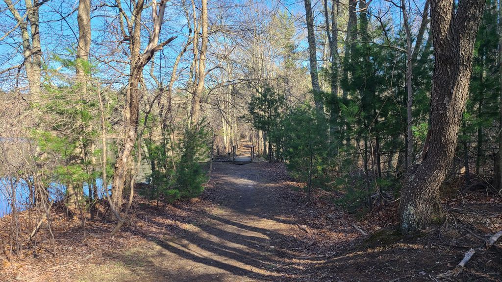 Hewitt's pond reserve