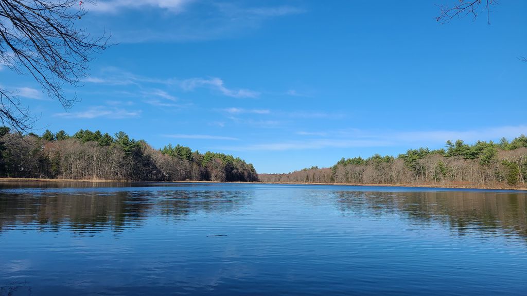 Hewitt's pond reserve