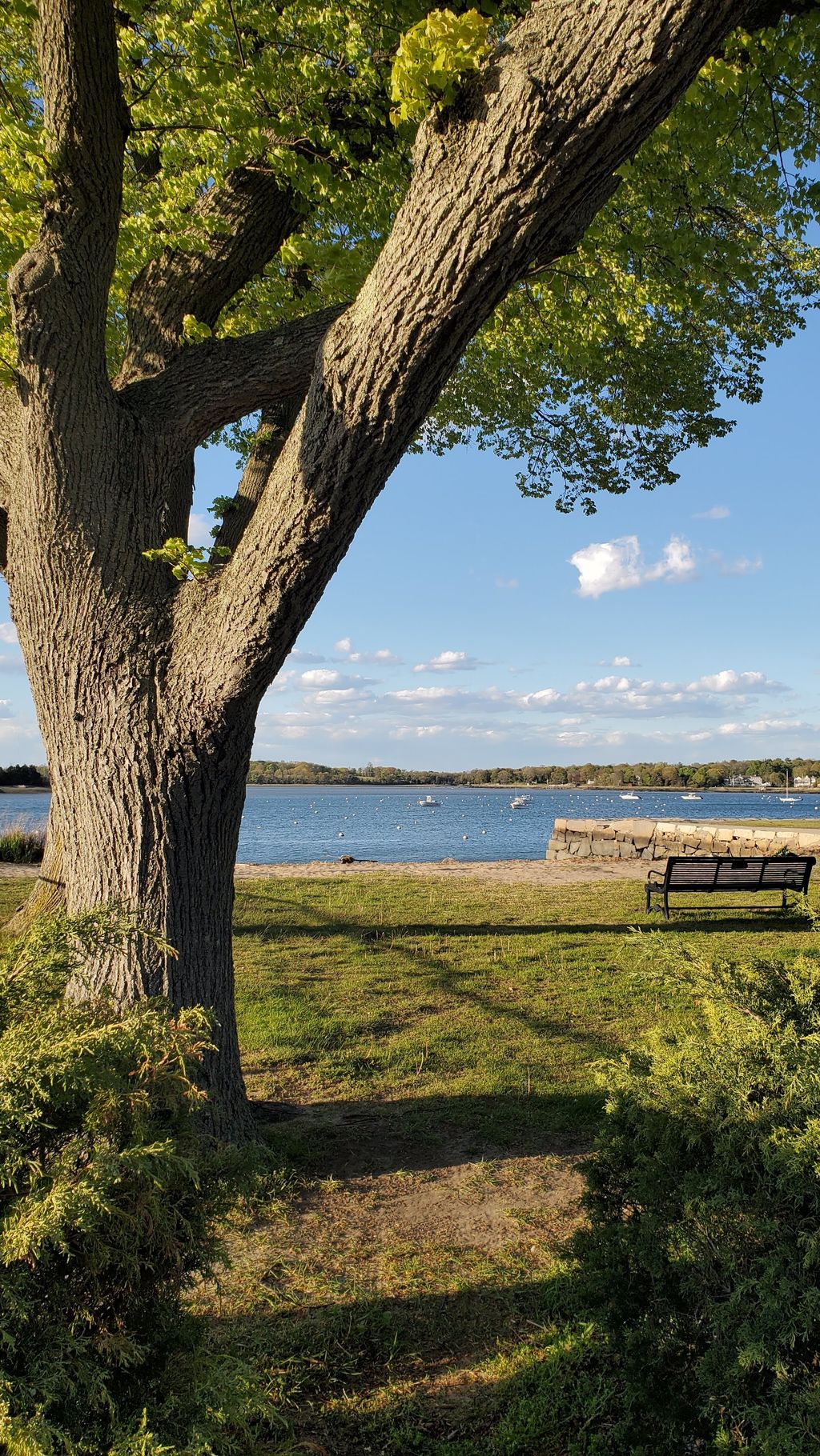 Hingham Town landing