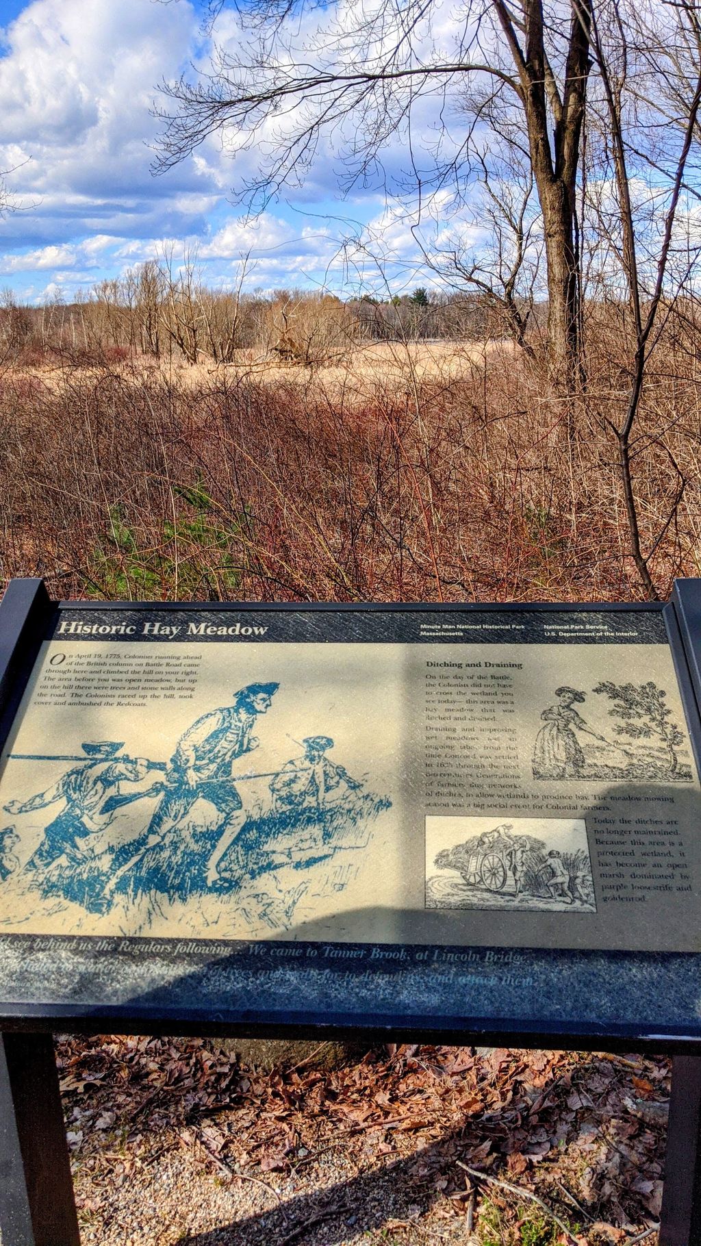 Historic Hay Meadow