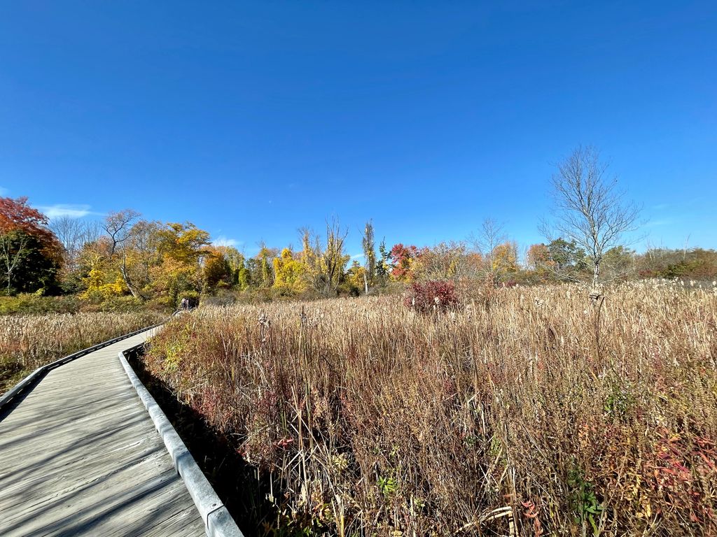 Historic Hay Meadow