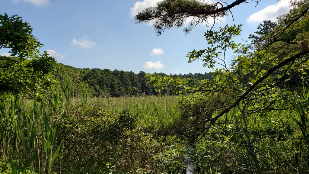 Jehu Pond Conservation Area