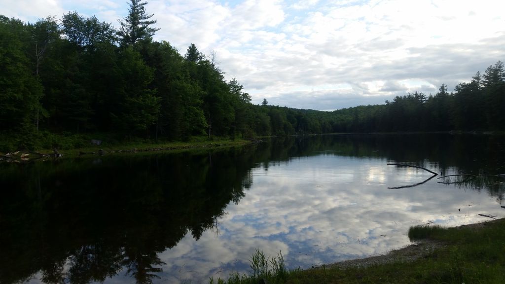 Kenneth Dubuque Memorial State Forest