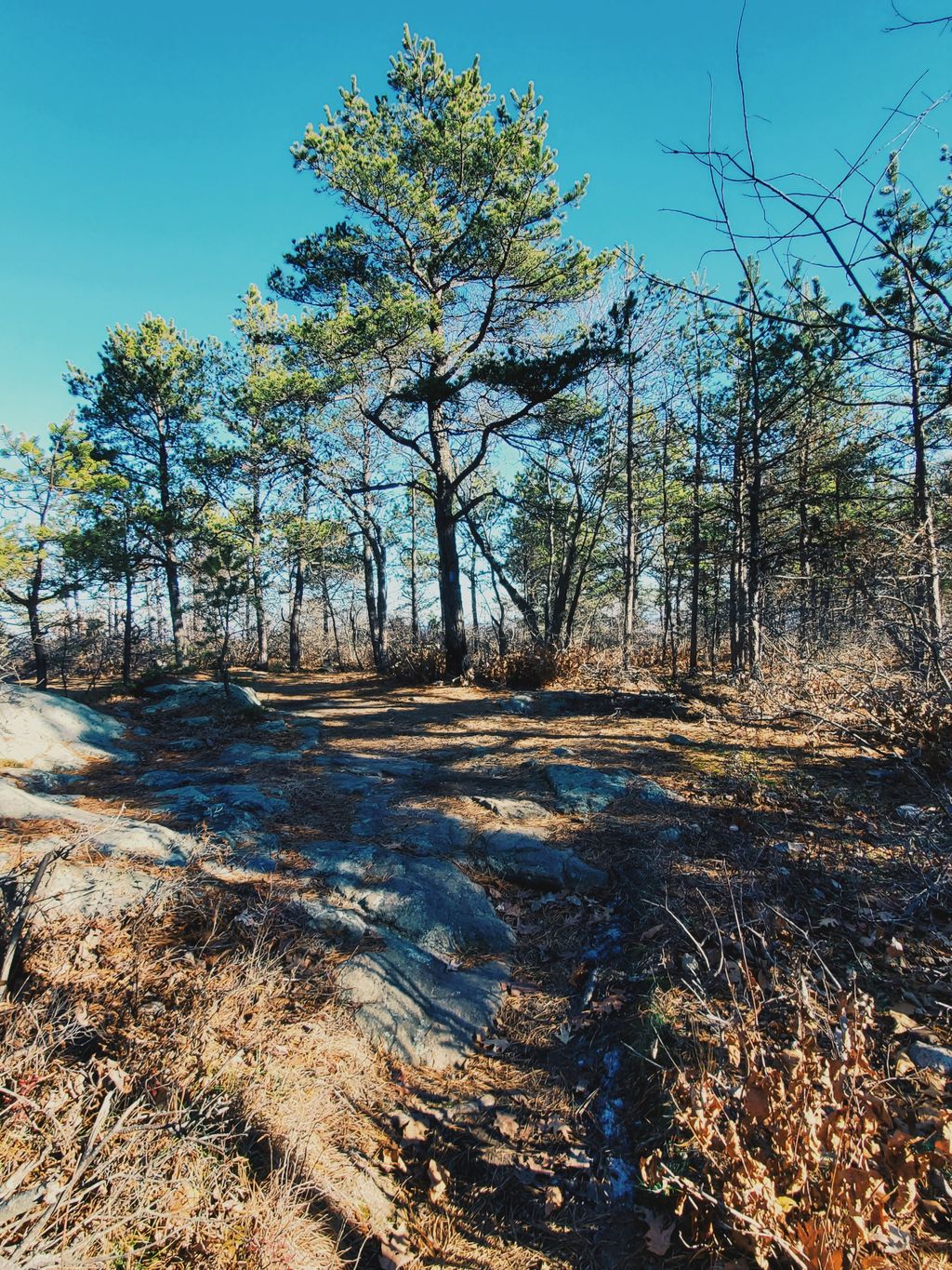 Kitchamakin Hill