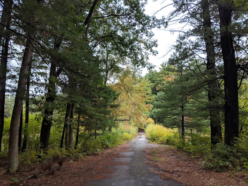 Lowell-Dracut-Tyngsborough State Forest