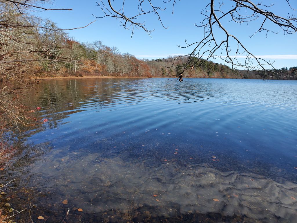 Lowell Holly Reservation