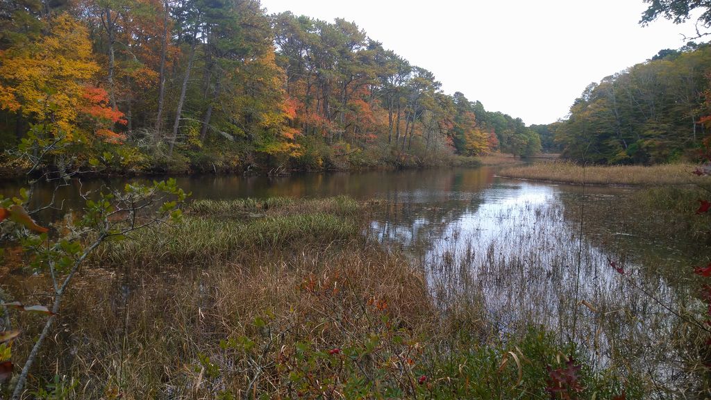 Mashpee River Reservation