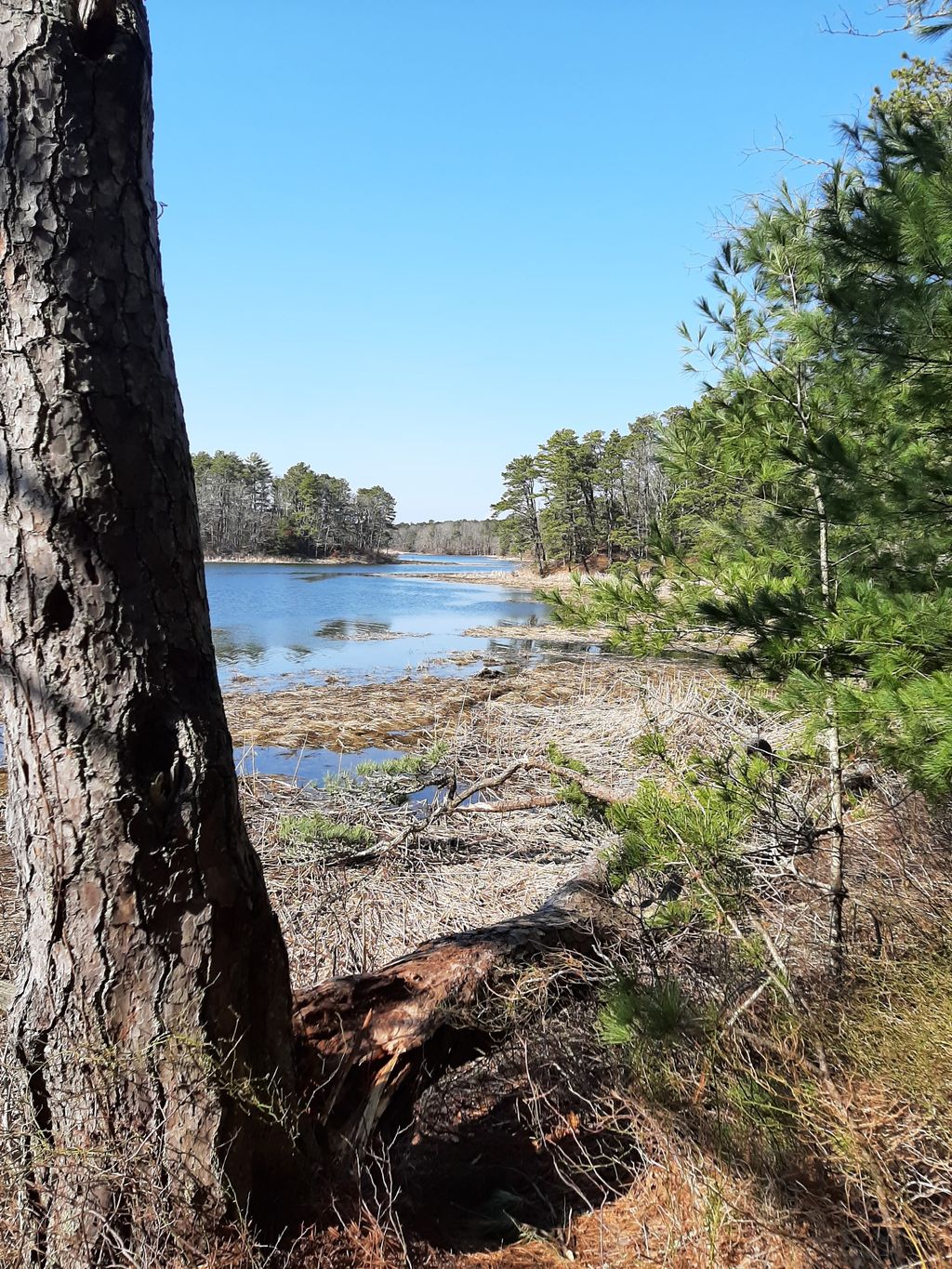 Mashpee River Reservation