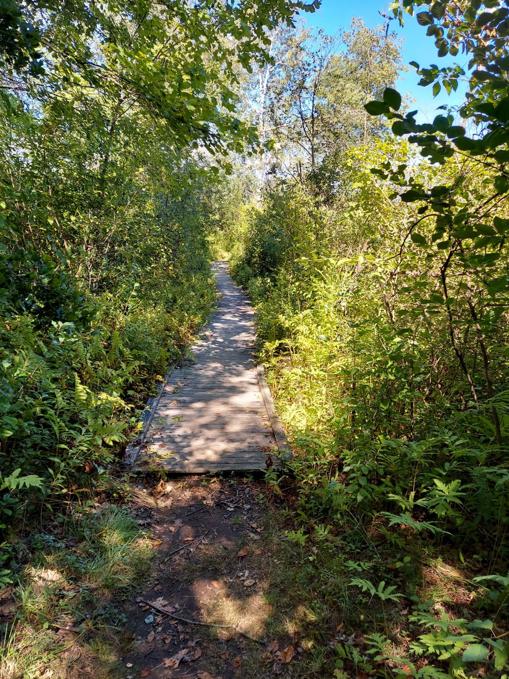 Mass Audubon Canoe Meadows Wildlife Sanctuary