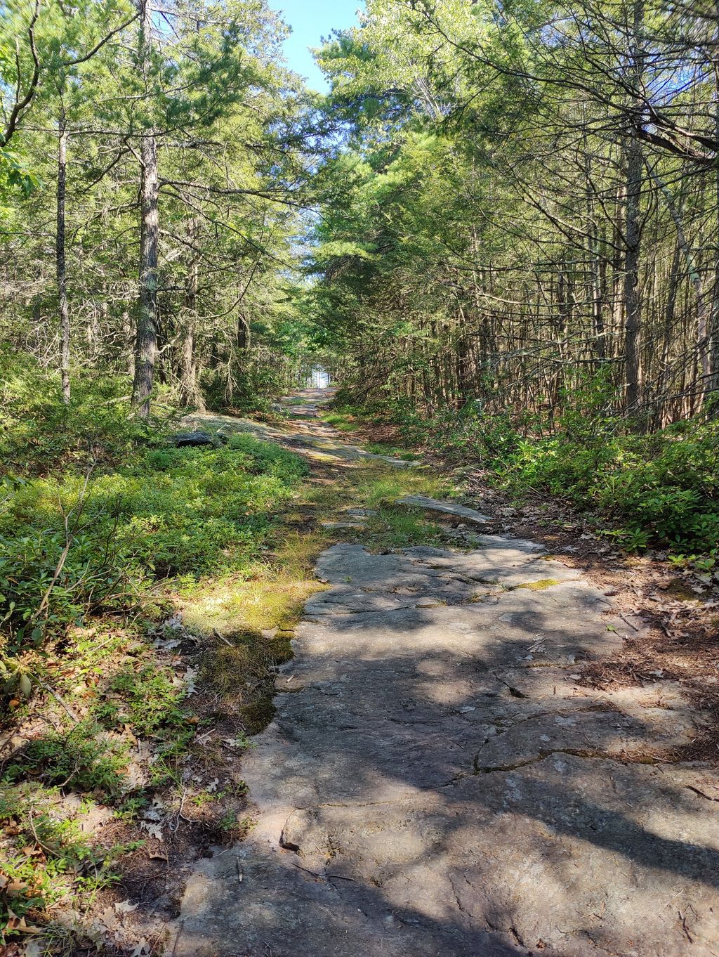 Mass Audubon's Flat Rock Wildlife Sanctuary