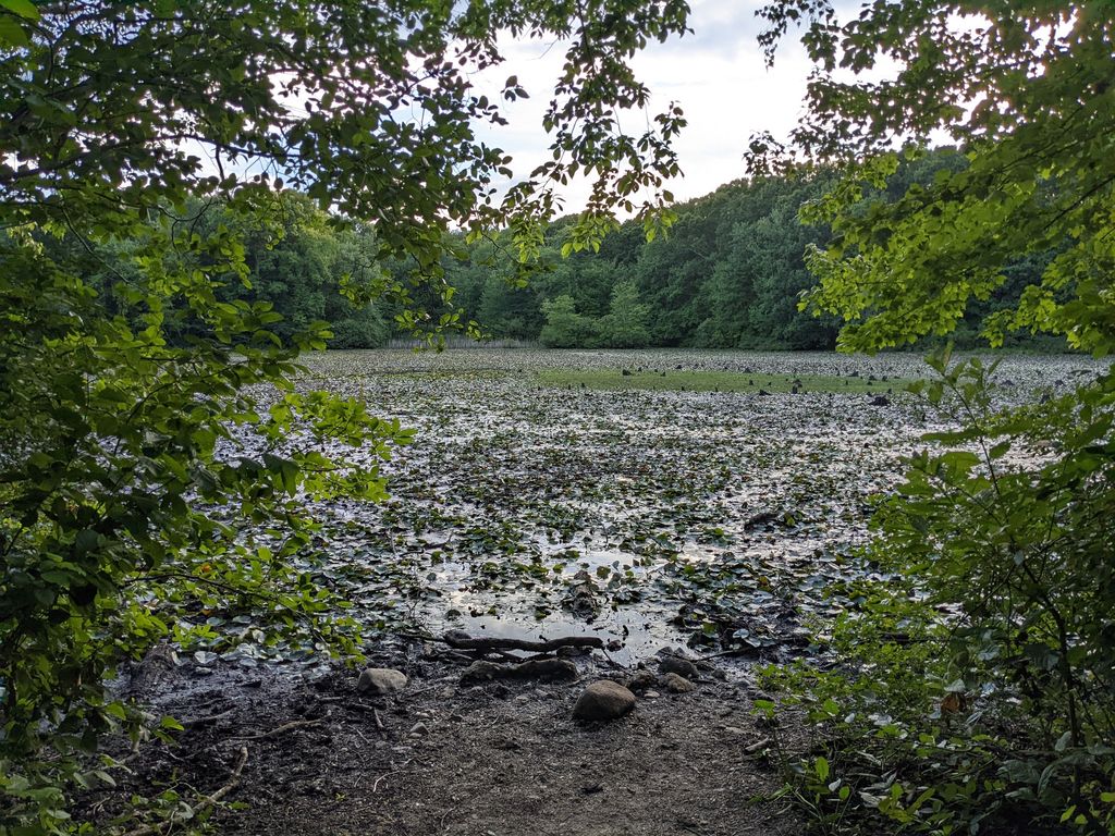 Mass Audubon's Oak Knoll Wildlife Sanctuary