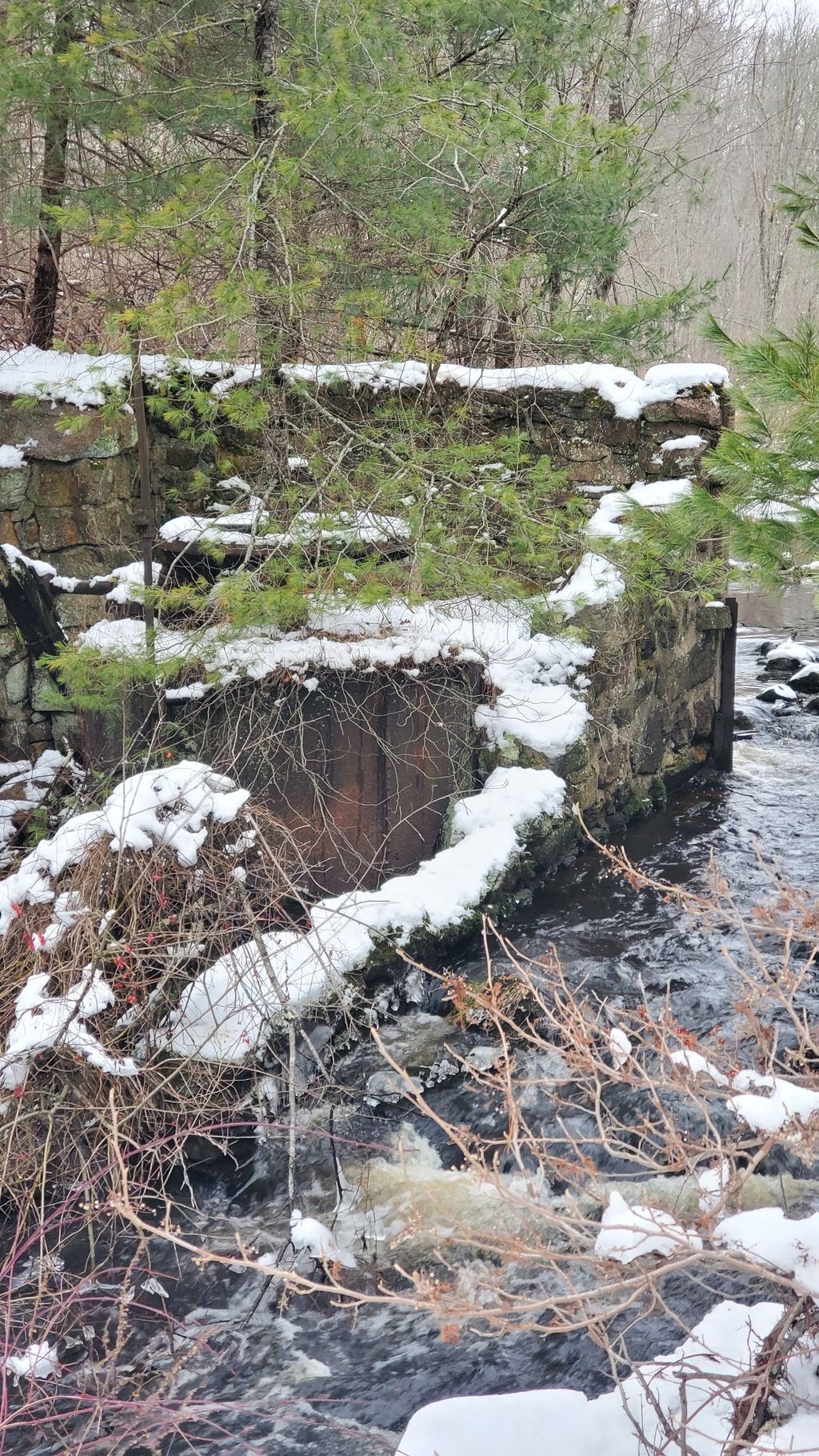 Mattapoisett River Trail Head