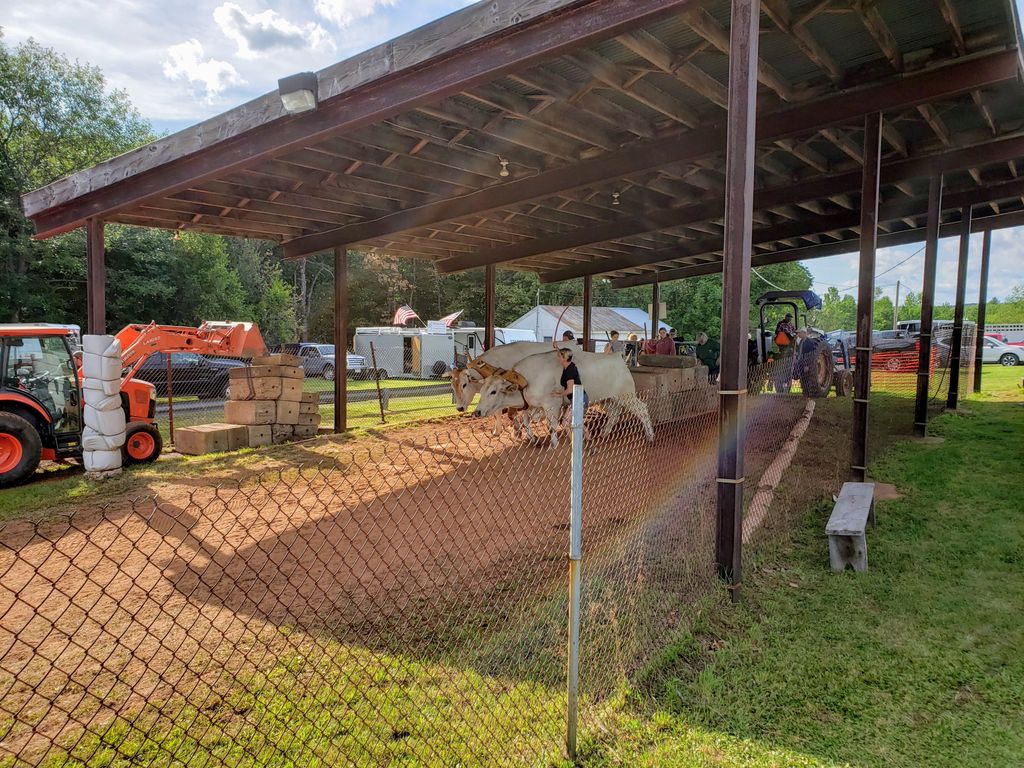 Middlefield Fair 2025