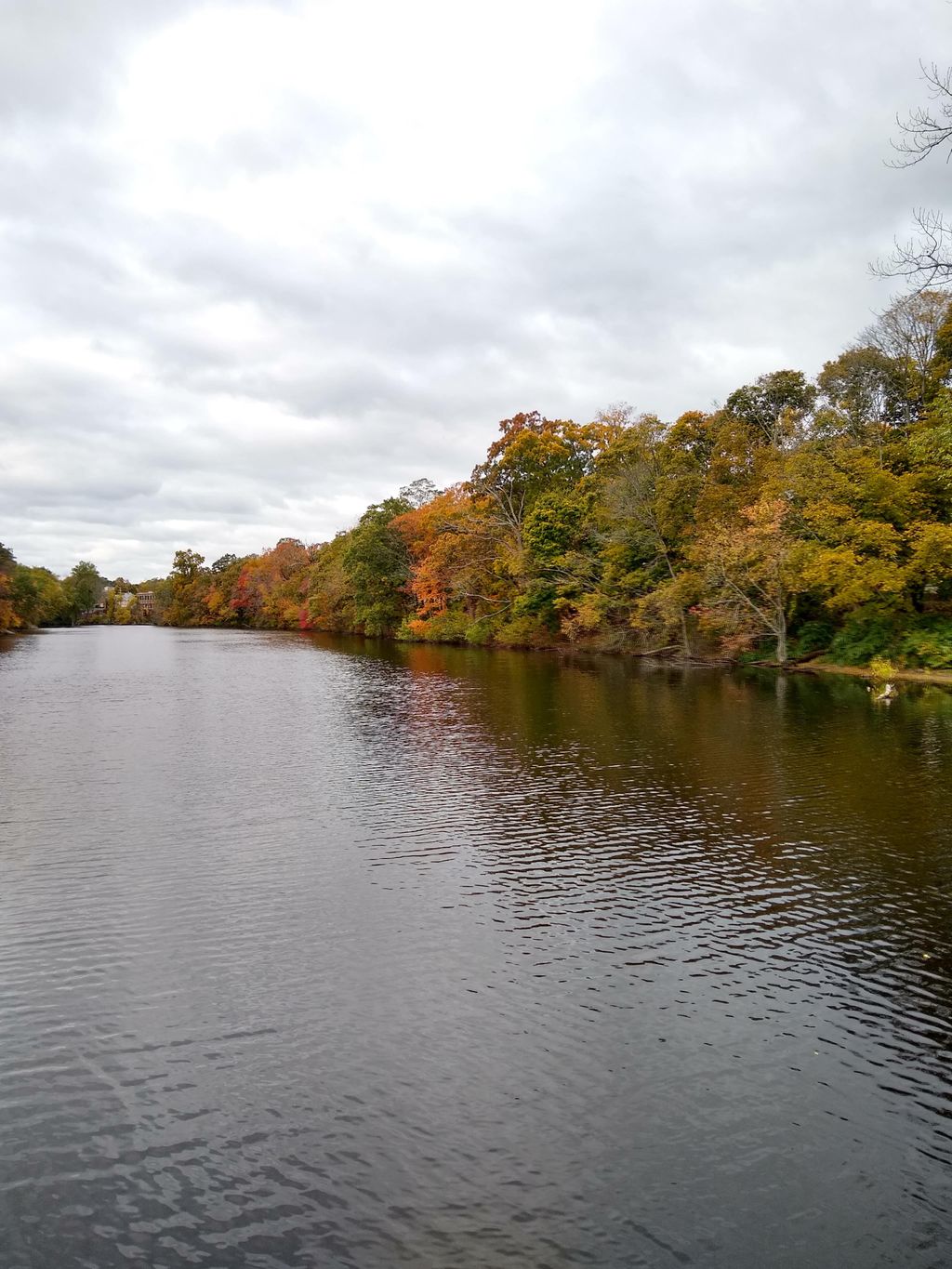 Mill Pond Park