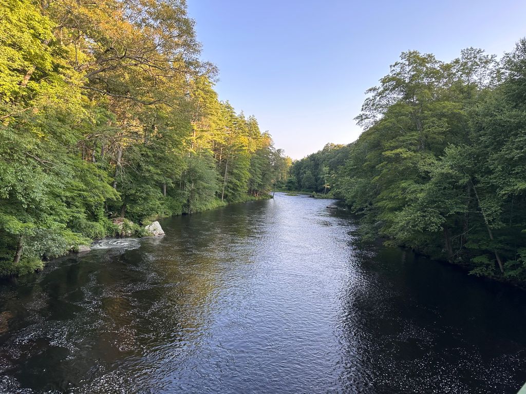 Mineral Road Bridge