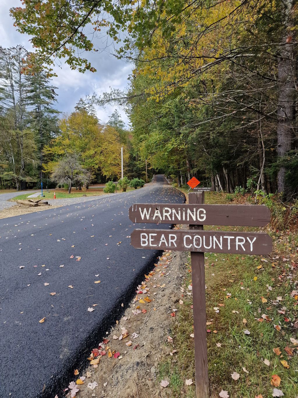 Mohawk Trail State Forest