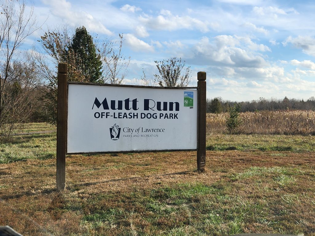 Mutt-Run-Off-Leash-Dog-Park