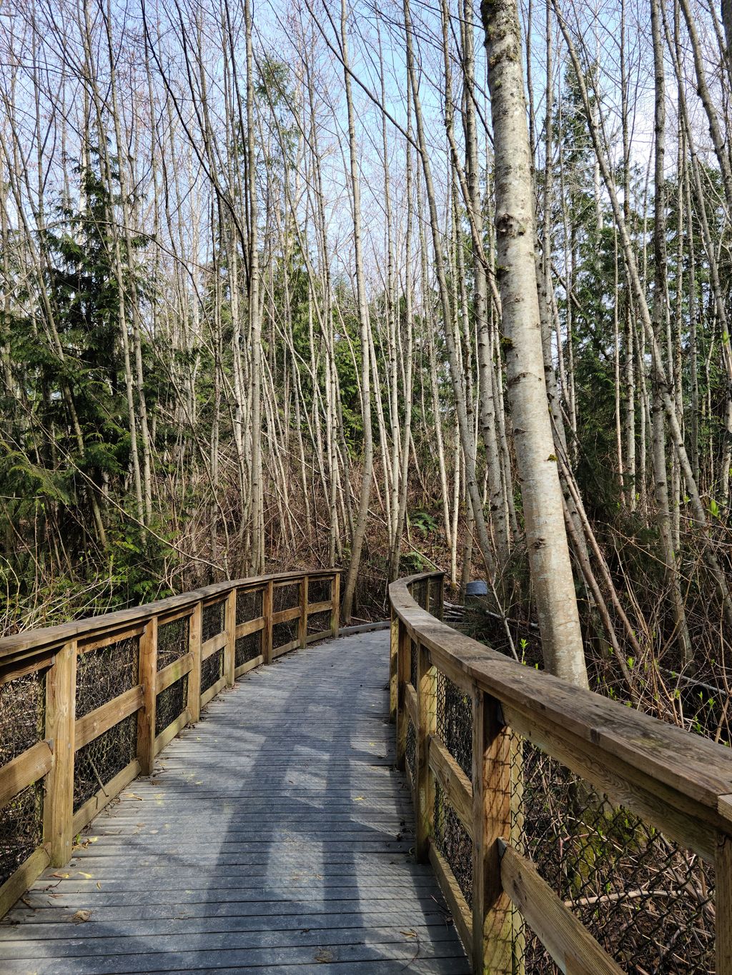 Narbeck-Wetland-Sanctuary