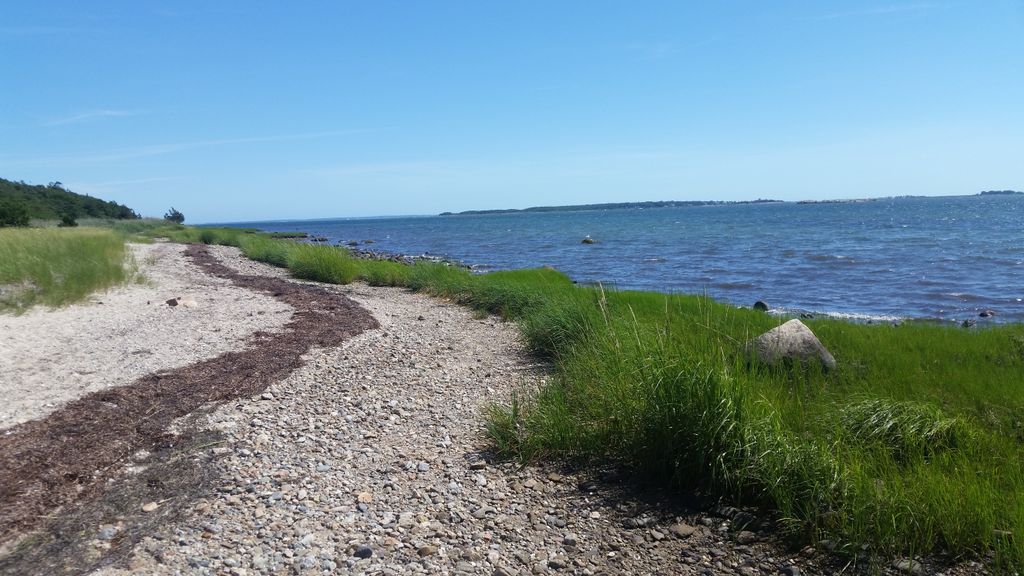 Nasketucket Bay State Reservation