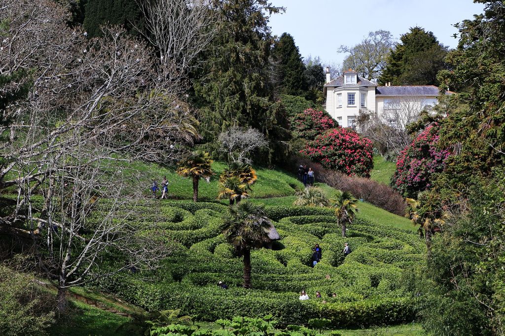 National-Trust-Glendurgan-Garden-1