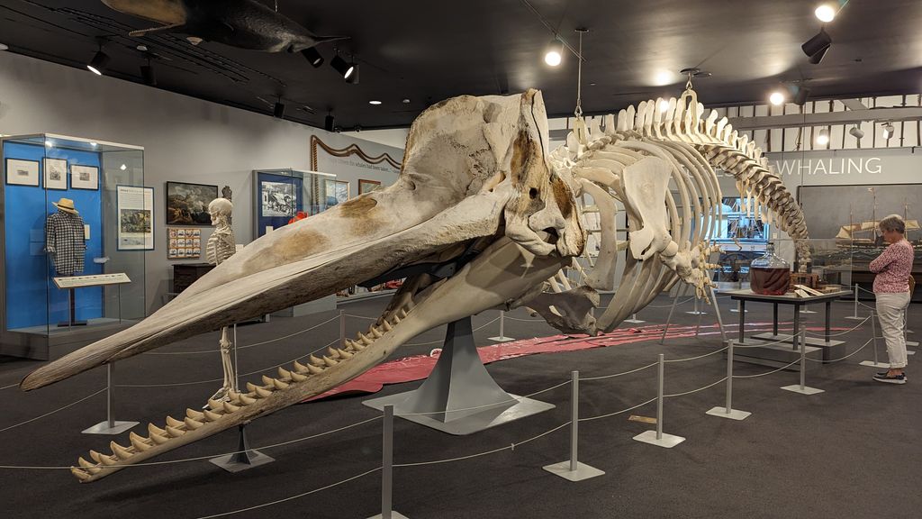 New-Bedford-Whaling-Museum-2